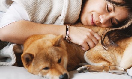 Les chiens peuvent-ils dormir dehors en hiver ?